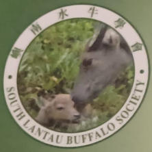 South Lantau Buffalo Society